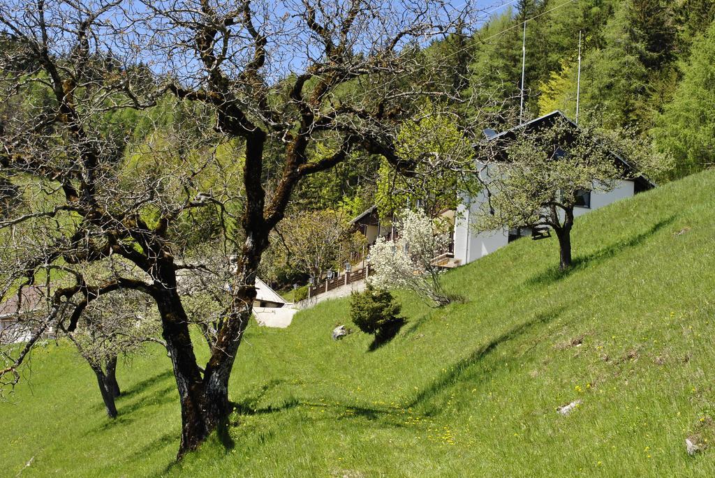 Bed&Breakfast Lausegger Ferlach Esterno foto